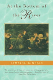 At the Bottom of the River
