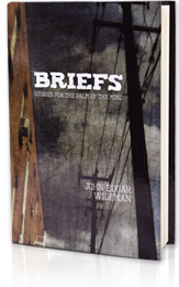 briefs book cover