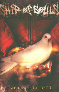 Ship of Souls Book