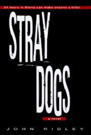 Stray Dogs