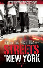 Streets of New York V1
