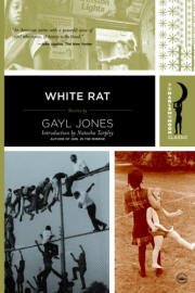 White Rat