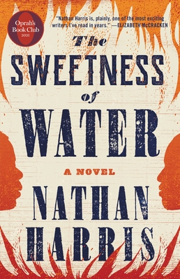 Discover other book in the same category as The Sweetness of Water by Nathan Harris