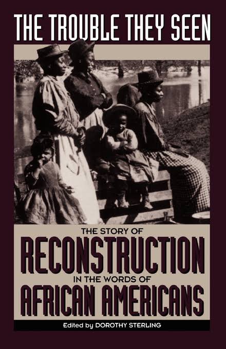 Book Cover Image of The Trouble They Seen: Black People Tell the Story of Reconstruction by Dorothy Sterling