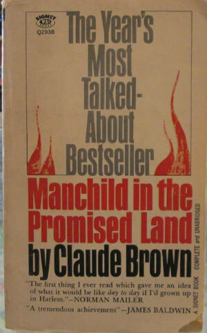 Book Cover Image of Manchild in the Promised Land  by Claude Brown