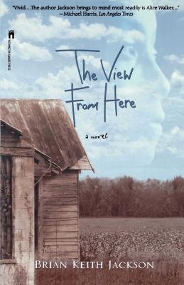 Book Cover Image of The View From Here by Brian Keith Jackson