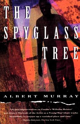 Click for more detail about The Spyglass Tree by Albert Murray