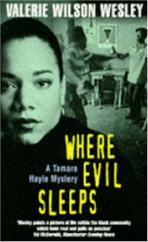 Book Cover Image of Where Evil Sleeps (A Tamara Hayle Mystery) by Valerie Wilson Wesley