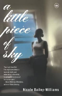 Book Cover Image of A Little Piece of Sky by Nicole Bailey-Williams