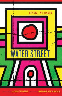 Book Cover Image of Water Street by Crystal Wilkinson