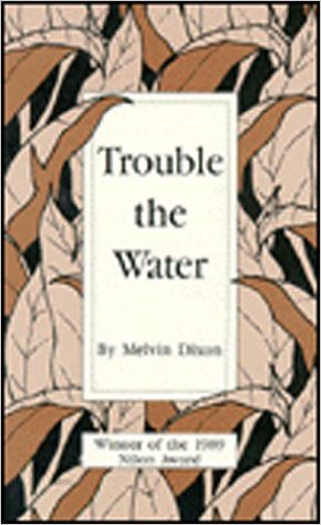 Click for more detail about Trouble the Water by Melvin Dixon