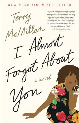 Photo of Go On Girl! Book Club Selection August 2016 – Selection I Almost Forgot about You by Terry McMillan