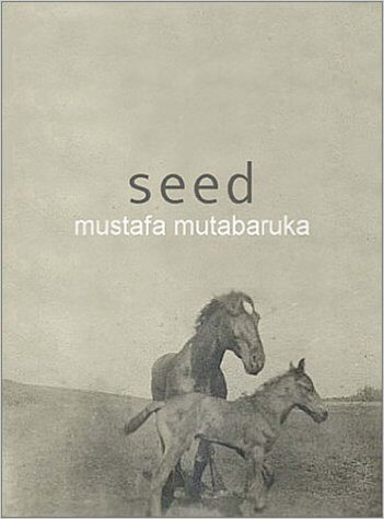 Book Cover Image of Seed by Mustafa Mutabaruka