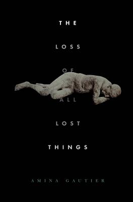 Click for more detail about The Loss of All Lost Things by Amina Gautier