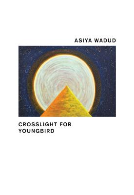 Click for a larger image of Crosslight for Youngbird