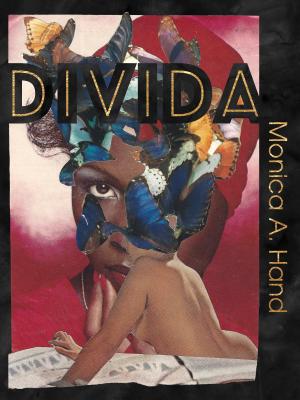 Book Cover Image of Divida by Monica Hand