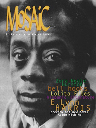 Click for a larger image of Mosaic Literary Magazine Issue #5