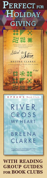 STAND THE STORM is one of the 100 Best of 2008 - Washington Post Book World