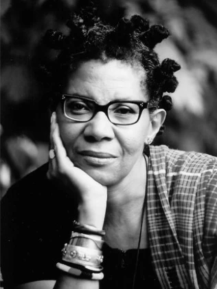 Click to learn more about M. NourbeSe Philip on AALBC M. NourbeSe Philip Author Photo