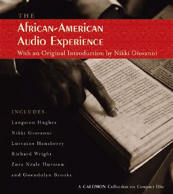 African American Audio Experience
