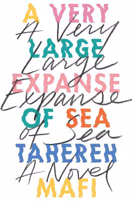 A Very Large Expanse of Sea