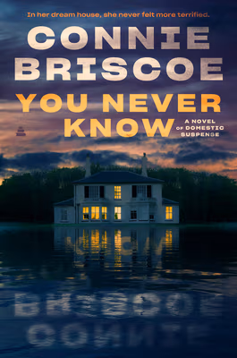 Cover art for You Never Know: A Novel of Domestic Suspense
