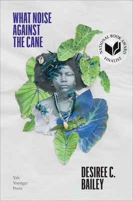 Book Cover What Noise Against the Cane by Desiree C. Bailey