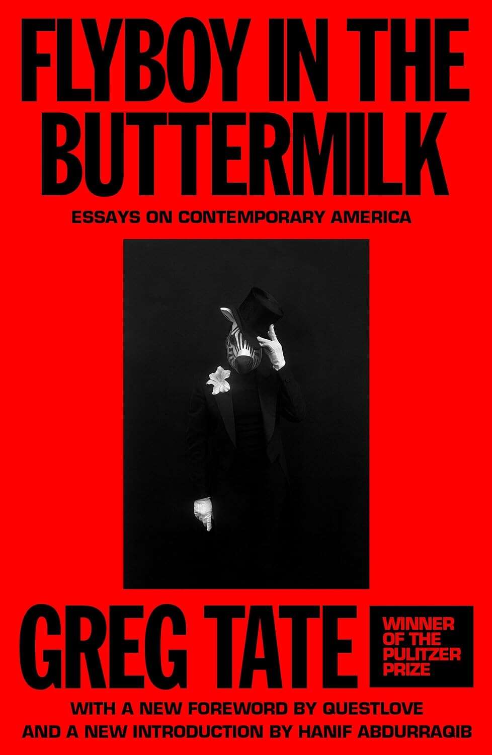 Cover for Flyboy in the Buttermilk