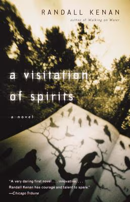 Cover: A Visitation of Spirits: A Novel