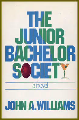 Cover art for The Junior Bachelor Society
