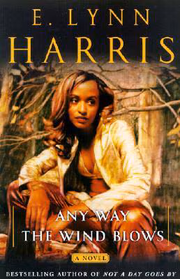 Any Way the Wind Blows: A Novel