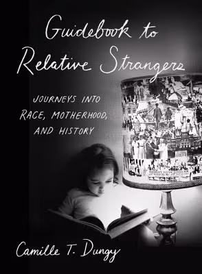Cover: Guidebook to Relative Strangers: Journeys into Race, Motherhood, and History