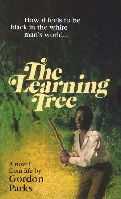 Click for more detail about Learning Tree by Gordon Parks