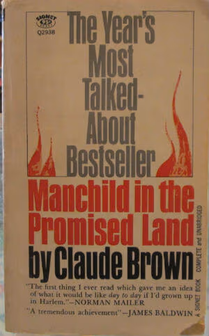 Manchild in the Promised Land 