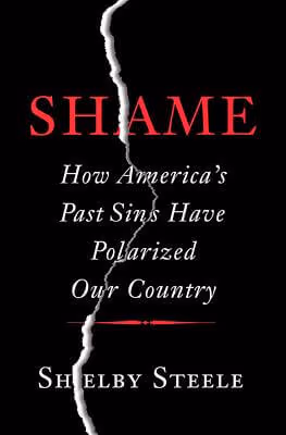 Cover: Shame: How America’s Past Sins Have Polarized Our Country