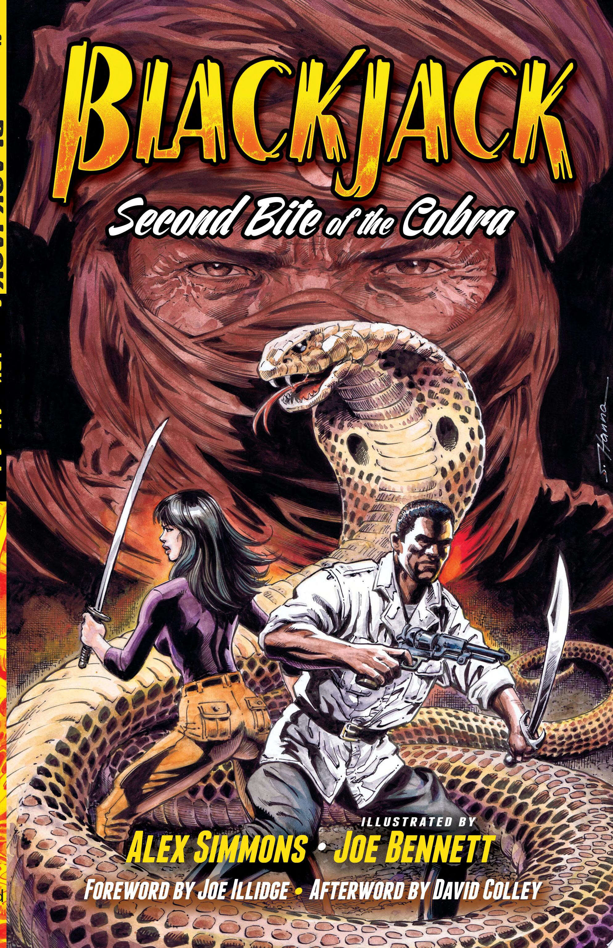 Cover for Blackjack