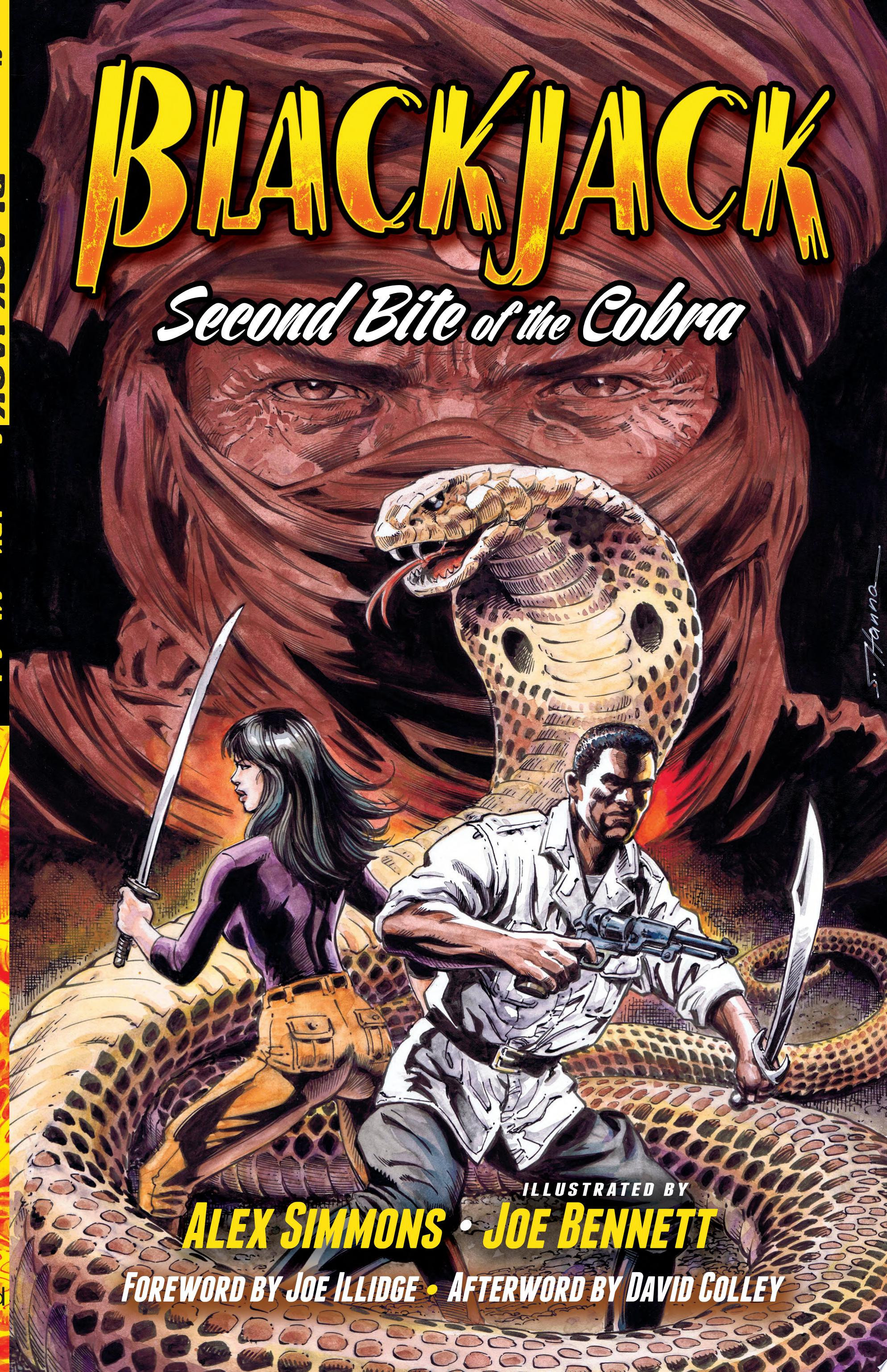 Cover of Blackjack: Second Bite of the Cobra