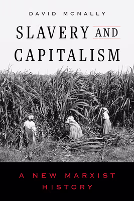 Cover art for Slavery and Capitalism: A New Marxist History