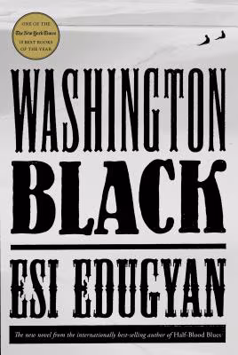 Cover: Washington Black