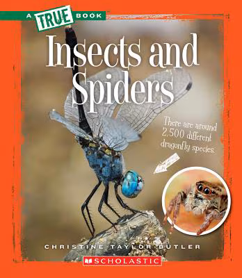 Cover art for Insects and Spiders 