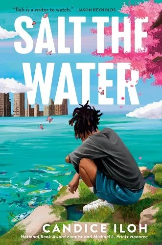 Click for more detail about Salt the Water by Candice Iloh