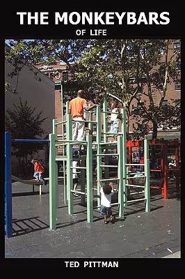 Cover: The Monkeybars Of Life