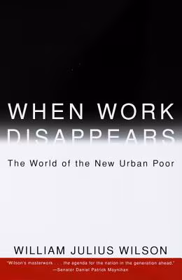 When Work Disappears: The World of the New Urban Poor