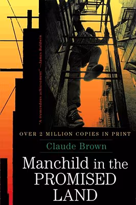Cover: Manchild in the Promised Land