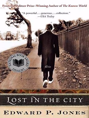Cover art for Lost in the City: Stories