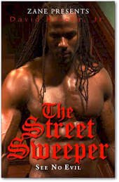 Cover: The Street Sweeper (See No Evil)