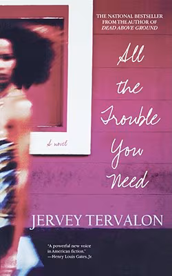 Cover: All The Trouble You Need: A Novel