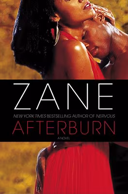 Afterburn: A Novel