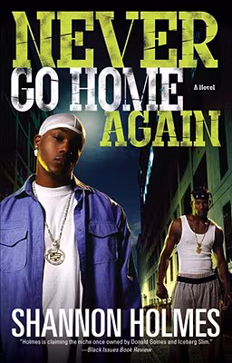 Never Go Home Again: A Novel