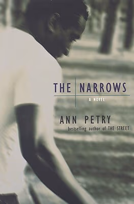 Cover: The Narrows